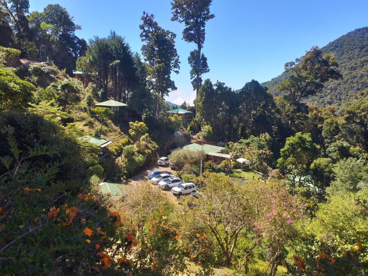 Hotel Cataratas 5*