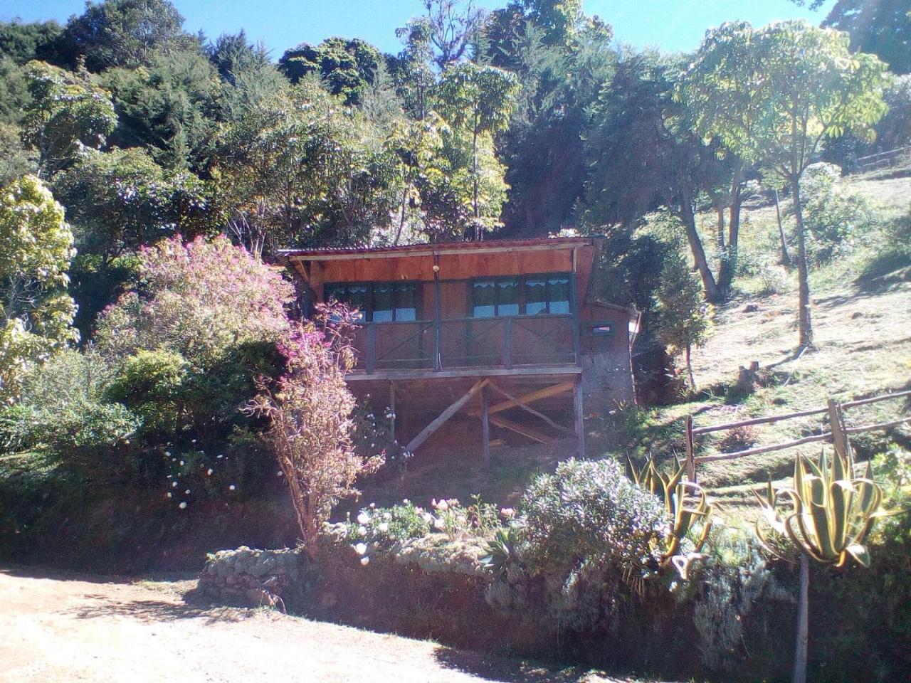 Hotel Cataratas 5*