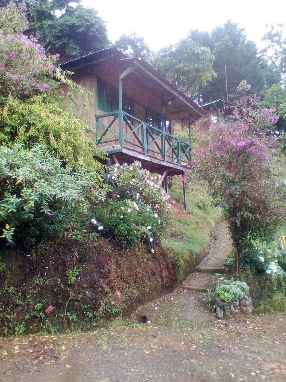 Cataratas 5*